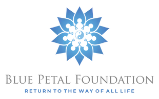 Blue Petal Foundation_Logos-01.png
